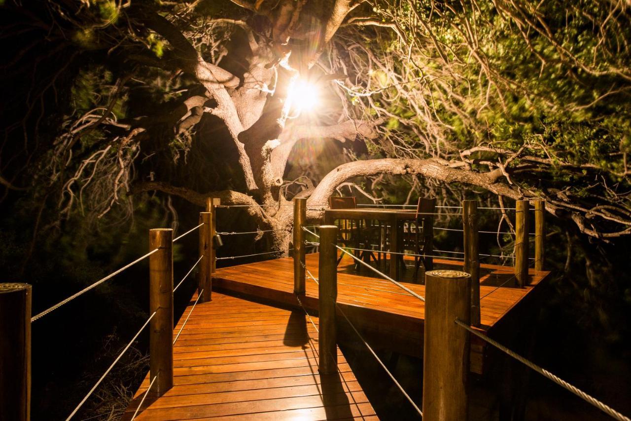 Naledi Lodges Balule Game Reserve Zewnętrze zdjęcie